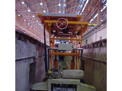 ���F���ޏS�������C