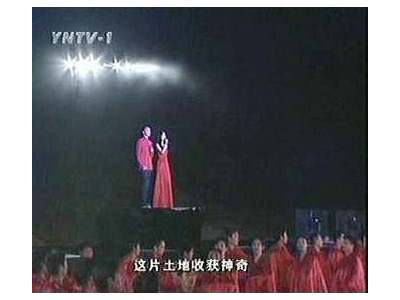 Һ���������_(t��i)